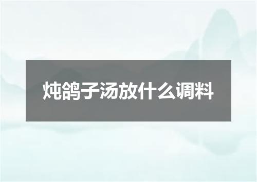 炖鸽子汤放什么调料