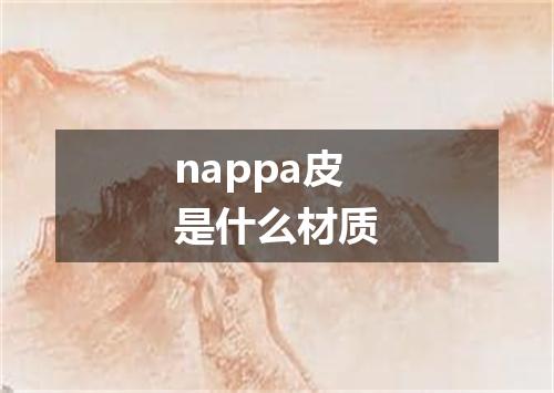 nappa皮是什么材质