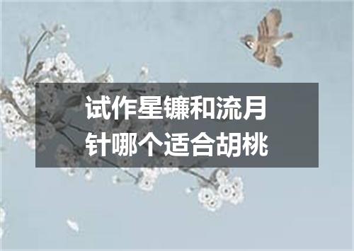 试作星镰和流月针哪个适合胡桃