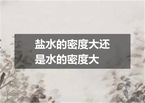 盐水的密度大还是水的密度大