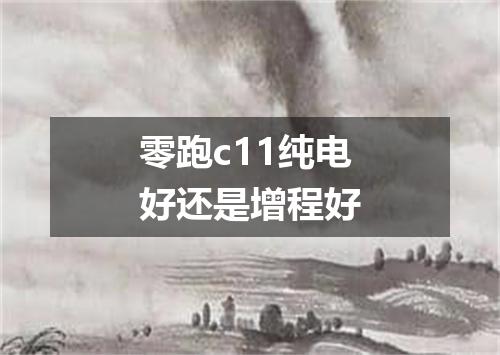 零跑c11纯电好还是增程好