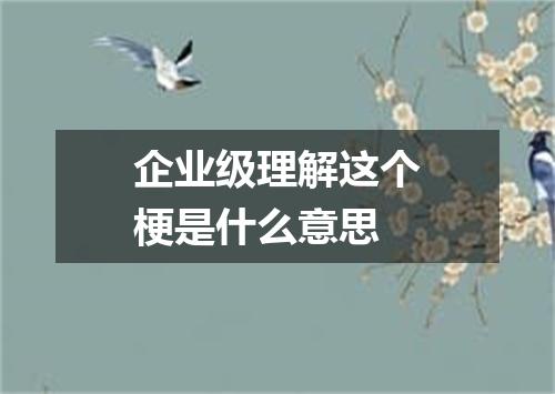 企业级理解这个梗是什么意思