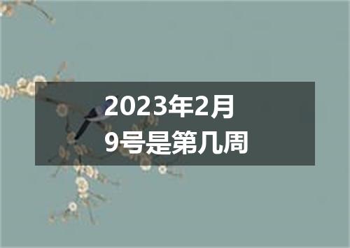 2023年2月9号是第几周