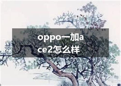 oppo一加ace2怎么样