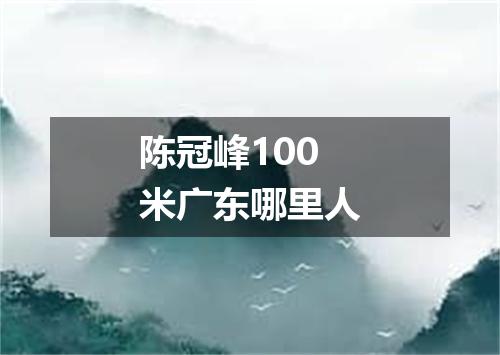 陈冠峰100米广东哪里人