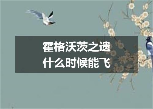 霍格沃茨之遗什么时候能飞