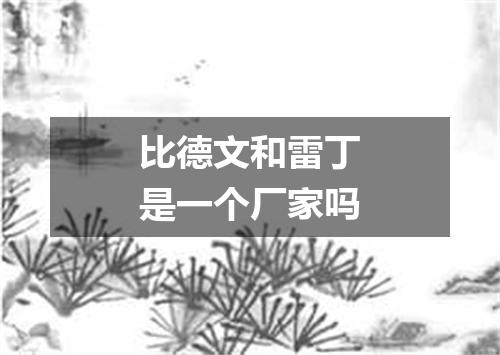 比德文和雷丁是一个厂家吗