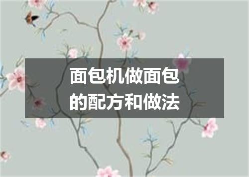 面包机做面包的配方和做法