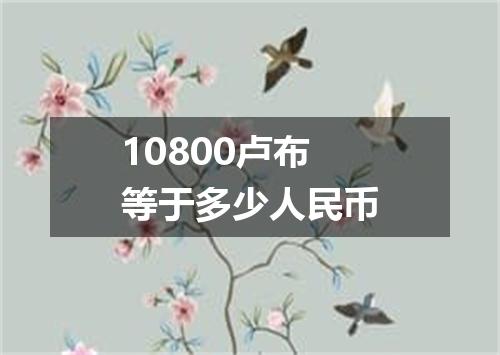 10800卢布等于多少人民币