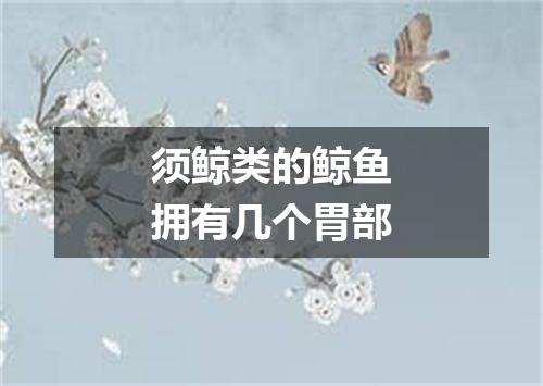 须鲸类的鲸鱼拥有几个胃部