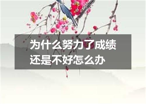 为什么努力了成绩还是不好怎么办
