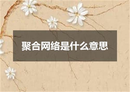 聚合网络是什么意思
