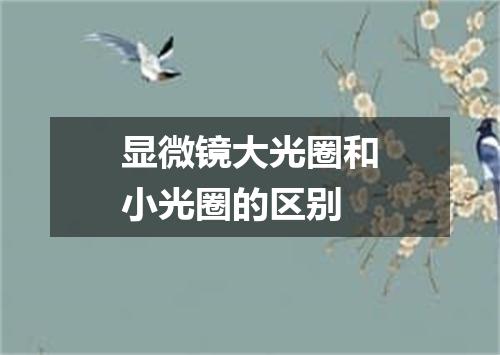 显微镜大光圈和小光圈的区别