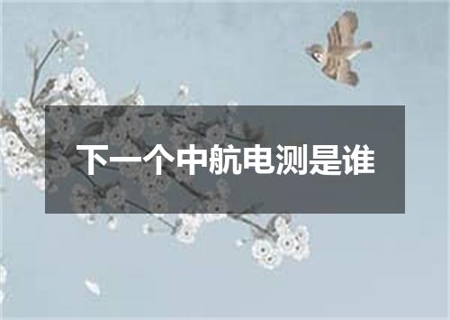 下一个中航电测是谁