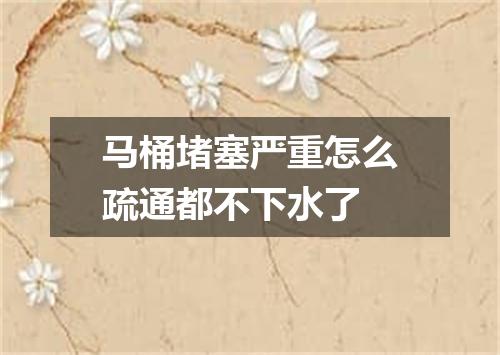 马桶堵塞严重怎么疏通都不下水了