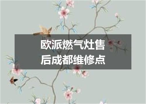 欧派燃气灶售后成都维修点