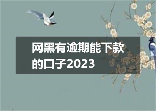 网黑有逾期能下款的口子2023