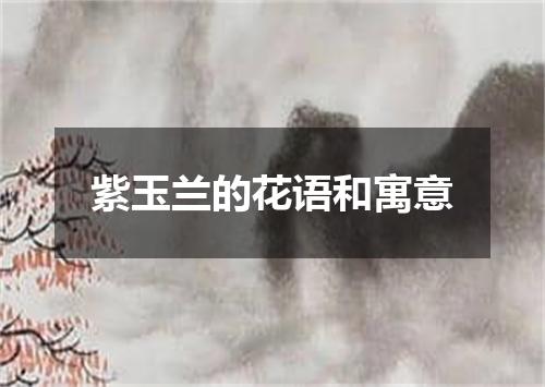 紫玉兰的花语和寓意