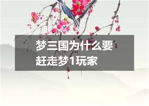 梦三国为什么要赶走梦1玩家