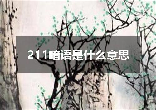 211暗语是什么意思