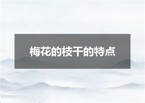 梅花的枝干的特点