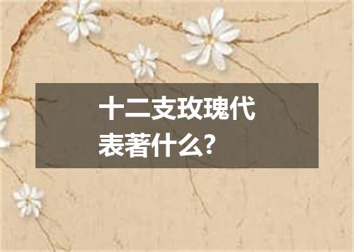 十二支玫瑰代表著什么?