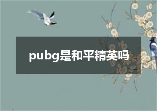 pubg是和平精英吗