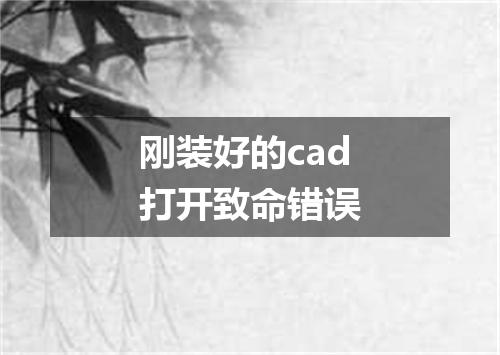 刚装好的cad打开致命错误