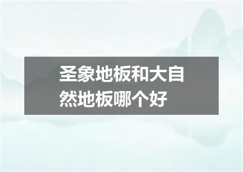 圣象地板和大自然地板哪个好