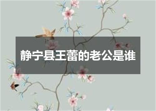 静宁县王蕾的老公是谁