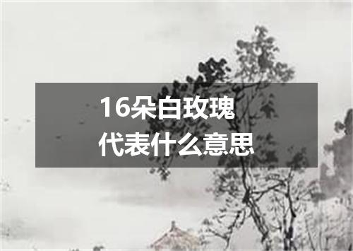 16朵白玫瑰代表什么意思