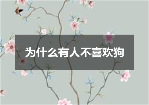 为什么有人不喜欢狗