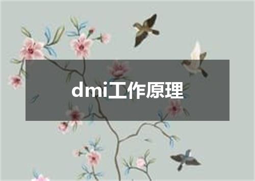dmi工作原理