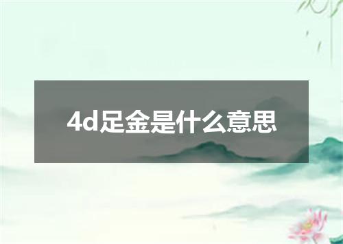 4d足金是什么意思