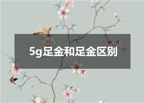 5g足金和足金区别