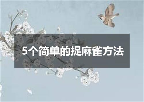 5个简单的捉麻雀方法