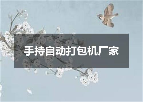 手持自动打包机厂家