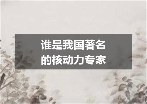 谁是我国著名的核动力专家