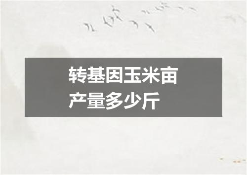 转基因玉米亩产量多少斤