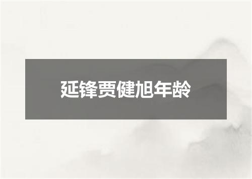 延锋贾健旭年龄