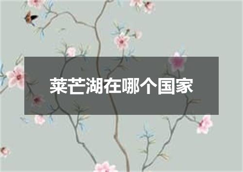 莱芒湖在哪个国家