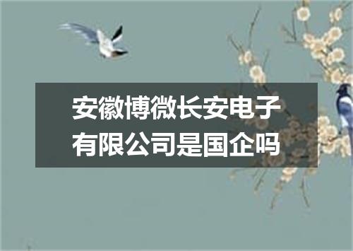 安徽博微长安电子有限公司是国企吗