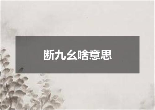 断九幺啥意思