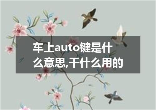 车上auto键是什么意思,干什么用的