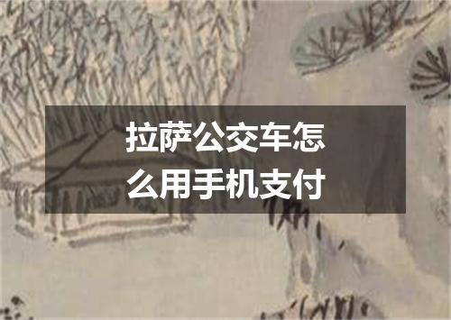 拉萨公交车怎么用手机支付