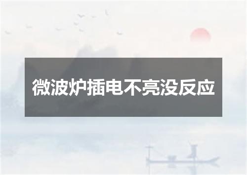 微波炉插电不亮没反应