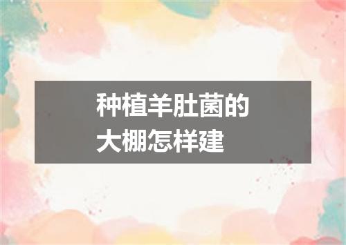 种植羊肚菌的大棚怎样建