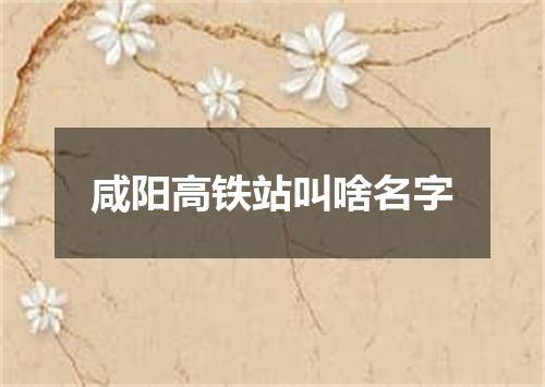 咸阳高铁站叫啥名字