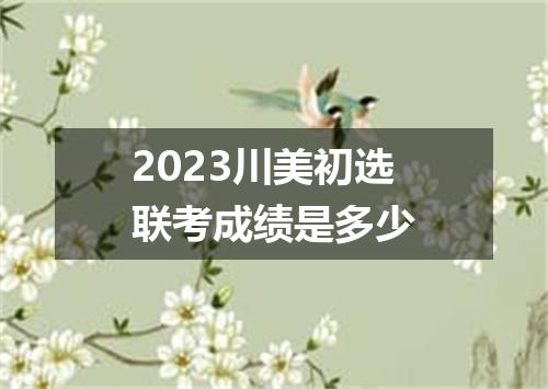 2023川美初选联考成绩是多少