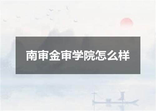 南审金审学院怎么样